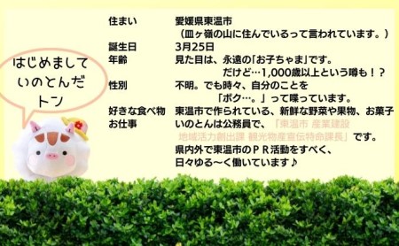 いのとんのぬいぐるみ いのしし キャラクター ご当地キャラ ゆるキャラ おもちゃ 