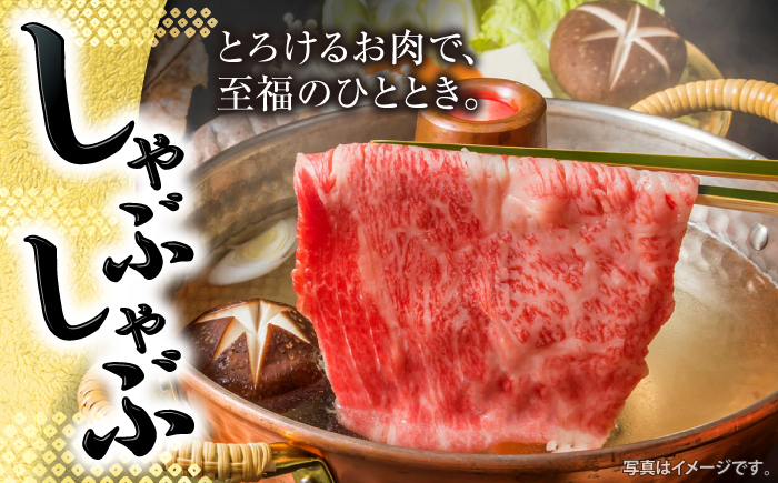 【もう夕食に悩まない！】 長崎和牛 モモスライス 計1kg（500g×2パック）＜株式会社 黒牛＞ [CBA036]