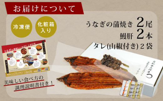 三河産うなぎ 蒲焼 2尾（合計300g）＋鰻肝 2本付《冷凍便》・A114-17