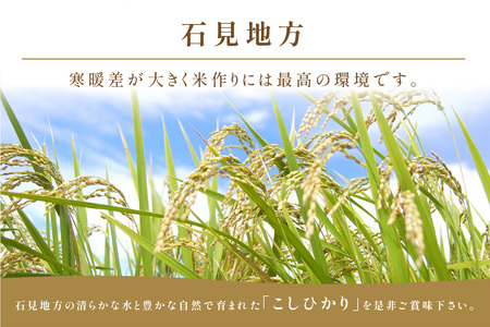【令和7年産】【新米先行予約】【数量限定】【定期便】神楽の郷 石見のこしひかり （5kg×6回コース）＜2025年10月より配送開始＞【058_1839】