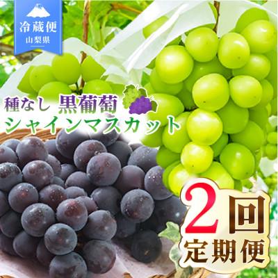 ふるさと納税 笛吹市 【発送月固定定期便】黒葡萄 シャインマスカット全2回
