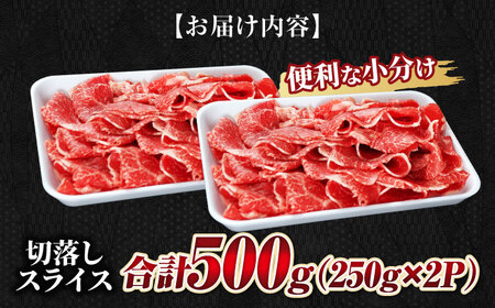 【飛騨牛】切落しスライス(250g×2) 和牛 焼肉 小分け 岐阜市/丸福商店[ANBO003]