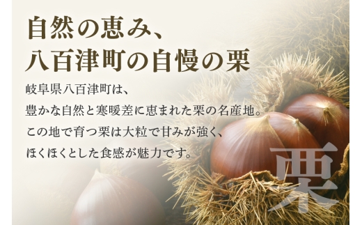 栗きんとん《栗金飩》15個入 創業明治5年「緑屋老舗」＜11月1日(日)お届け＞