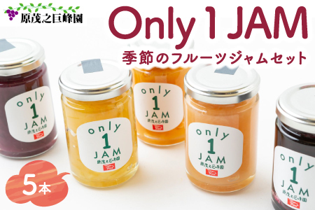 原茂之巨峰園 Only１JAM 季節のフルーツジャムセット (5本) ジャム フルーツ うきは市