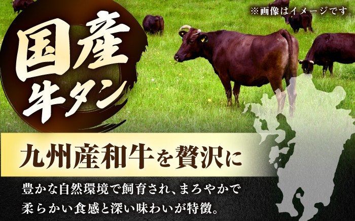 国産 牛 タン 牛タン ぎゅうたん こくさん スライス 味付き 塩 焼肉 焼き肉 冷凍 小分け 真空 定期便 ていきびん 定期