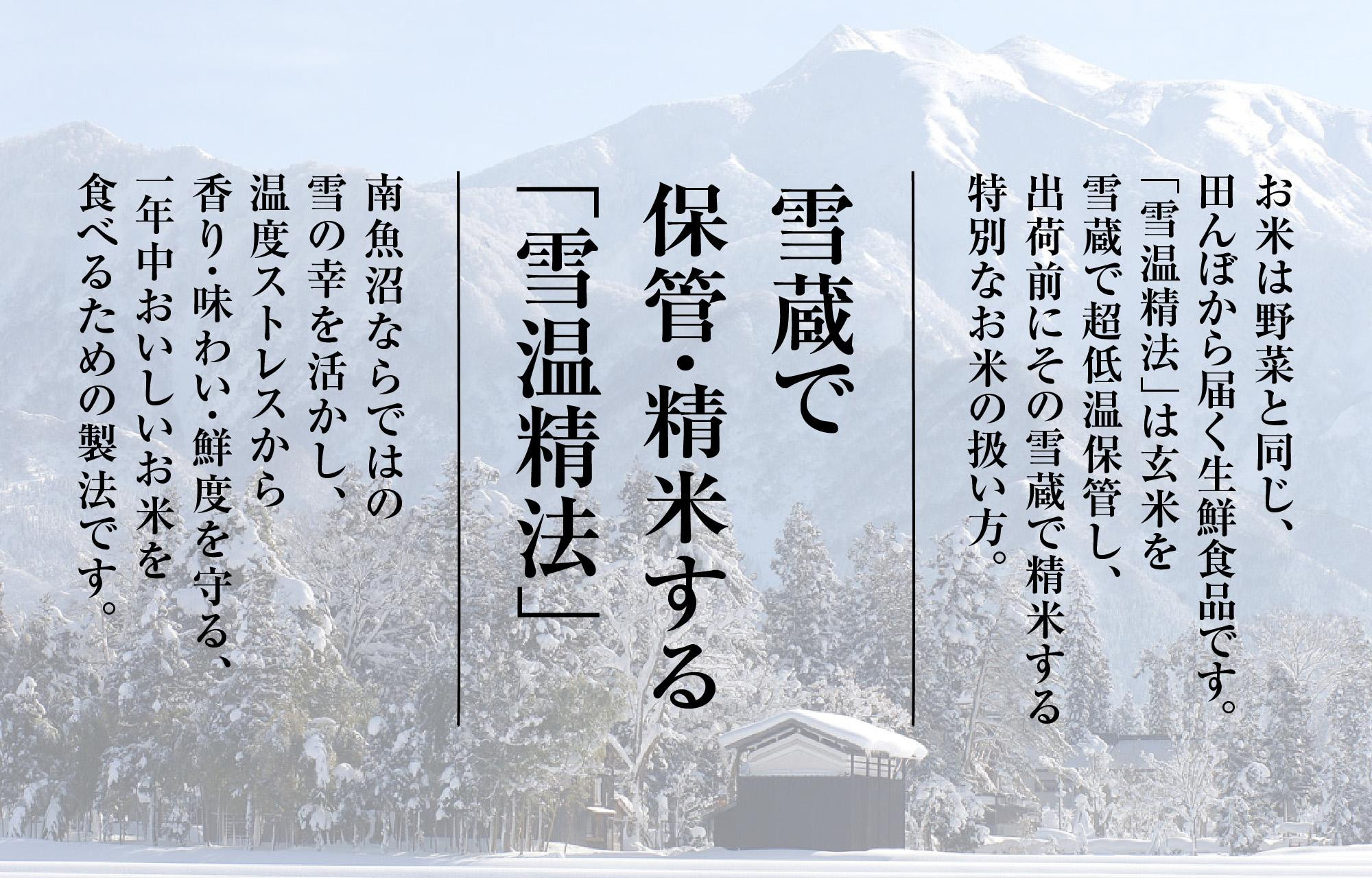 雪温精法　南魚沼産こしひかり10kg　契約栽培  雪蔵貯蔵米
