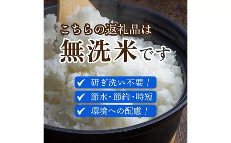 【定期便 全6回】令和7年産米 無洗米ヒノヒカリ 5kg×6回 計30kg（お米 米 ひのひかり 無洗米 国産 人気 お弁当 定期便 宮崎県 小林市）