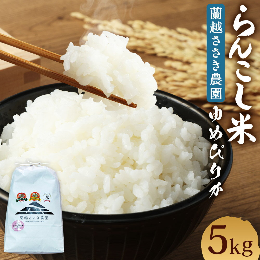 【ふるさと納税】＜令和7年産＞ らんこし米 ゆめぴりか 5kg【蘭越ささき農園】 【2025年11月上旬発送開始】 令和7年産 お米 精米 白米 ゆめぴりか 蘭越町産 北海道産 送料無料
