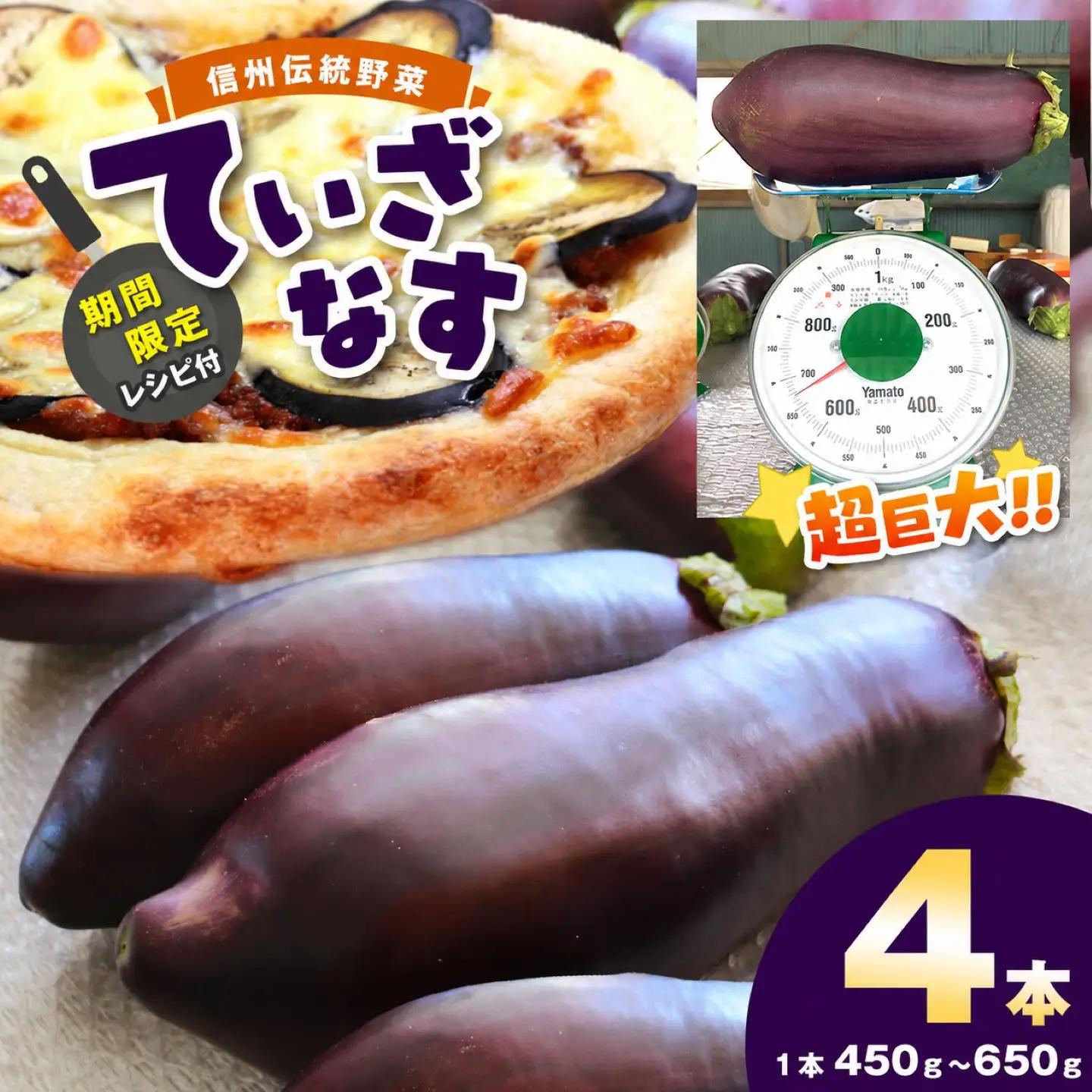 【先行予約】令和8年9月頃から順次発送 信州伝統野菜 天龍村産ていざなす4本セット（１本450g～650g）☆レシピ付き☆
