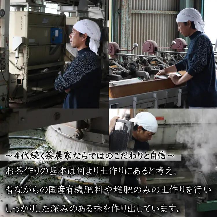 【八女茶】奥八女星野茶 高木茶園の深蒸し高級煎茶(深蒸し茶）100g×1袋 4A13