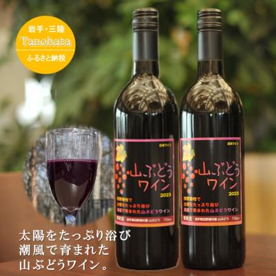 ふるさと納税 田野畑村 山ぶどうワイン　甘口　750ML　2本