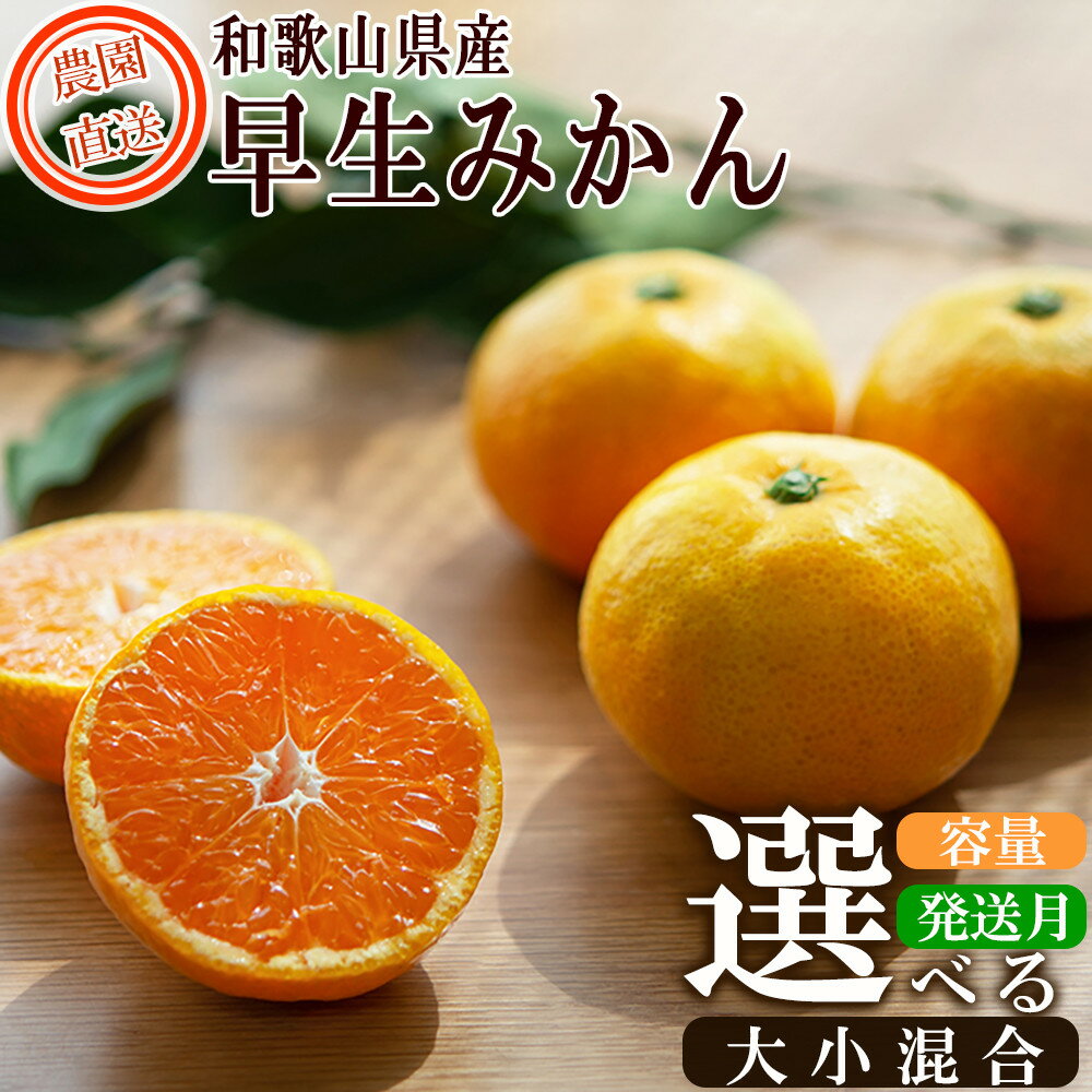 【ふるさと納税】早生みかん 訳あり 和歌山産みかん 家庭用 2kg〜10kg 選べる容量 送料無料 | 楽天 和歌山 和歌山県 返礼品 訳あり