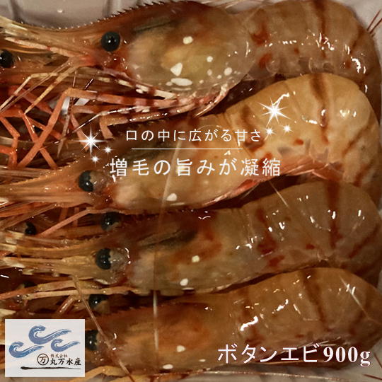 【ふるさと納税】8-024-003　冷凍ボタンエビ 900g（39尾～54尾）　海老・ぼたんエビ・海老・エビ・魚介類　お届け：入金確認後、1週間～1ヶ月以内