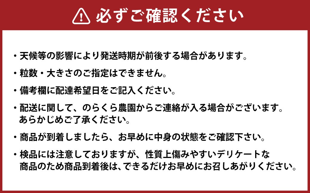 【指定日必須】【2026年1月下旬～3月下旬迄発送予定】のらくら農園　大粒いちご