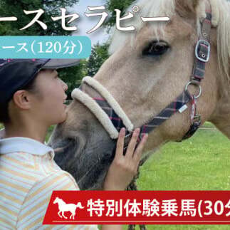 EY-1　ホースセラピー・癒しコース（120分）