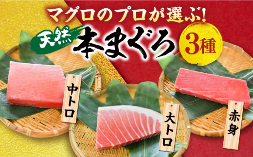 【全12回定期便】天然 本まぐろ 大トロ・中トロ・赤身（約200ｇ×3柵）約600ｇ  鮪 マグロ 魚 刺身 横須賀【本まぐろ直売所】 [AKAK076]