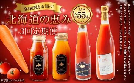 	【3回定期便】 北海道 の恵み 定期便 ミニトマトジュース 720ml×4本 スパークリングトマト 300ml×3本 計3.78L 計7本 ／ ミニトマトジュース無塩 180ml×24本 計4.32L ／ 人参ミックスジュース 180ml×24本 計4.32L 4種 飲料 野菜 ジュース【浦臼町】