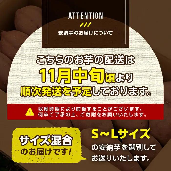 数量限定 安納芋 5kg 種子島 さつまいも 野菜 K-GAP 【砂坂展恵】n173