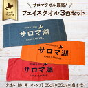 【ふるさと納税】サロマタオル最高！ フェイスタオル 3色セット 【 ふるさと納税 人気 おすすめ ランキング タオル オリジナル サロマ湖 サロマ 物産館 物産館みのり 北海道 佐呂間町 送料無料 】 SRMI016