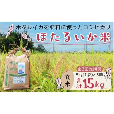 ふるさと納税 滑川市 【毎月定期便】ほたるいか米　玄米　5kg全3回