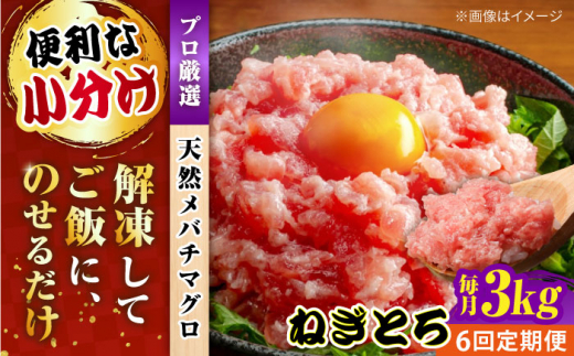 【全6回定期便】まぐろ ねぎとろ 約3kg（約250g×12パック） 鮪 マグロ 魚 ネギトロ 横須賀【横須賀商工会議所 おもてなしギフト事務局（本まぐろ直売所 横須賀本店）】 [AKAK042]