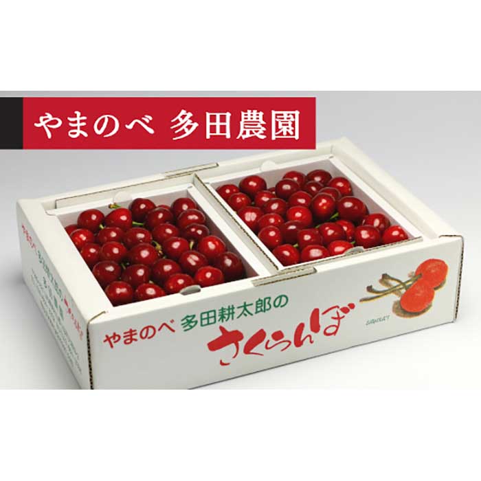 【ふるさと納税】≪2026年 先行予約≫「山形美人」バラ詰 L～2Lサイズ 500g×2「やまのべ 多田農園」 F2Y-1734