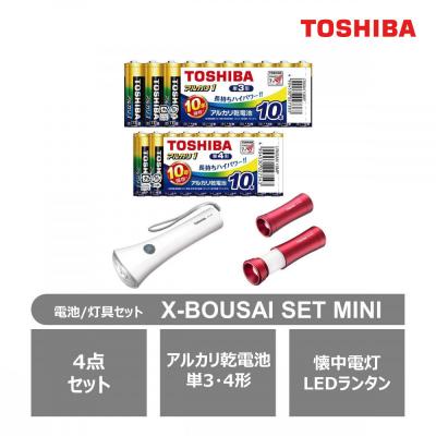 ふるさと納税 川崎市 東芝 防災グッズ  X-BOUSAI SET MINI