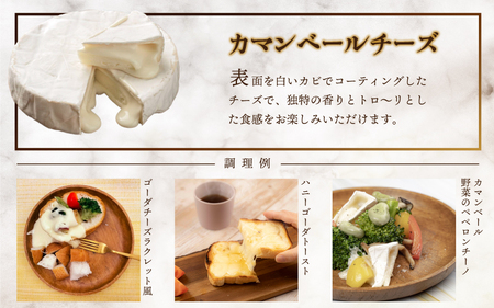 【定期便2回】熟成チーズセット（ ゴーダチーズ100g・カマンベールチーズ200g）