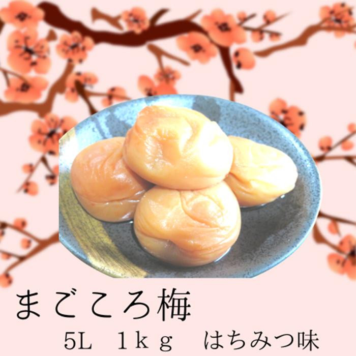 
まこごろ梅 はちみつ味 5Lサイズ 1kg
