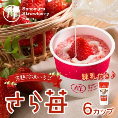 ふるさと納税 宇土市 熊本県宇土産 完熟冷凍いちご「さら苺」6カップ 練乳付き 園村苺園