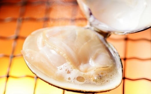 三重県・畜養はまぐり　2kg　＜ ハマグリ お吸い物に、焼き蛤！＞はまぐり ハマグリ 蛤