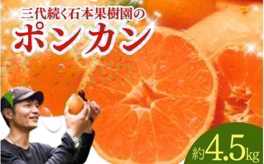 【先行予約】石本果樹園の美味しい ポンカン 約4.5kg 20～25玉【1月初旬から２月初旬までに順次発送】 / みかん フルーツ くだもの 果物 ポンカン