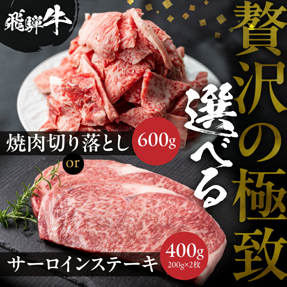 【ふるさと納税】飛騨牛 焼肉 ステーキ 選べる 600g 400g 訳あり 牛肉 肉 和牛 A5 A4 切り落とし カルビ サーロイン 不揃い ギフト 贈答 焼き肉 BBQ バーベキュー お取り寄せ グルメ 岐阜県 白川村 駿河屋 15000円 母の日 父の日 お中元 お歳暮 御祝 [S767]