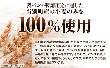 [0.8-240] 　当別町産小麦を使った 乾麺うどん 10袋 うどん 乾麺 JA北石狩農協協同組合 北海道 当別町