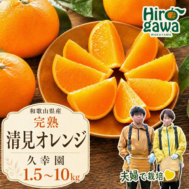 久幸園 完熟清見 オレンジ 　※2024年4月上旬より順次発送予定 / 和歌山 有田 おれんじ オレンジ 樹上完熟 きよみ 清見 清美 春 旬 柑橘 家庭用 濃厚 甘い 甘味 フルーツ ジューシー 果汁 おすすめ オススメ 本場 //hassaku