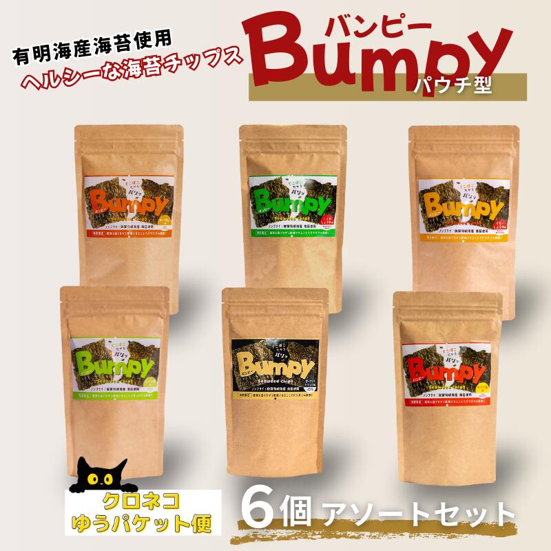 【ふるさと納税】有明海産海苔使用 ヘルシーな海苔チップス「Bumpy（バンピー）」パウチ型6個アソートセット【クロネコゆうパケット利用】 フードロス削減 SDGs 有明海苔 有明海産 海苔 味付け海苔 スナック おやつ おつまみ：B100-068