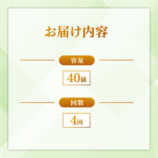 定期便 パックごはん 白米 40個×4回