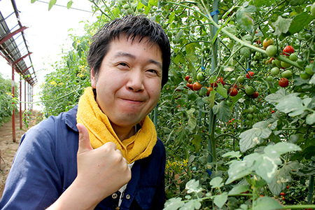 ミニトマト「ネネ」2.4kg（200g×12パック）