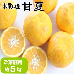 【ご家庭用】甘夏（あまなつ）約5kg 和歌山産
