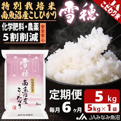 ふるさと納税 南魚沼市 【毎月定期便】特別栽培米南魚沼産こしひかり「雪穂」 精米 5kg 全6回