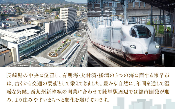 カステラ かすてら カット済み ざらめ おやつ デザート 福砂屋 福砂屋 ふくさや 五三焼 長崎 諫早 いさはや 贈答