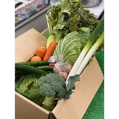 ふるさと納税 芦屋町 地元新鮮野菜セット(8品)