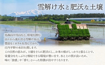 令和7年産　雪若丸 精米 5kg×1袋　庄内観光物産館