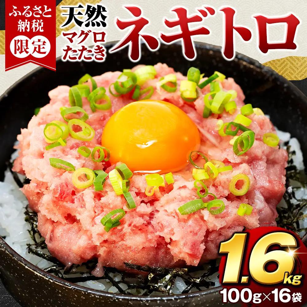 【ねぎとろ】カネトモねぎとろ 1.6kg（100g × 16パック）【fj006】