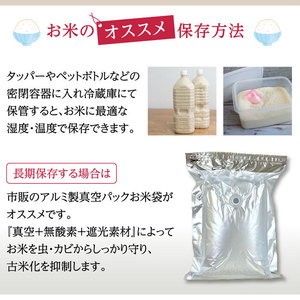 【6回定期】特別栽培米 コシヒカリ ヒロシノキモチ 玄米 10kg 総計60kg 陽咲玲 米 お米 コメ ご飯 ごはん 富山県産 富山県 立山町 F6T-1006