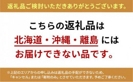【先行予約】【贈答品】大粒静岡いちご1箱（品種：すず、もしくは、おいCベリー）15粒  約500g前後 冷蔵 苺 フルーツ◇