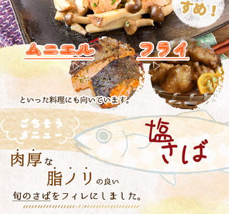 和歌山魚鶴仕込の甘口塩銀鮭切身4切&天然塩さばフィレ４枚（２切×２パック&２枚×２パック　小分け）【uot770B】