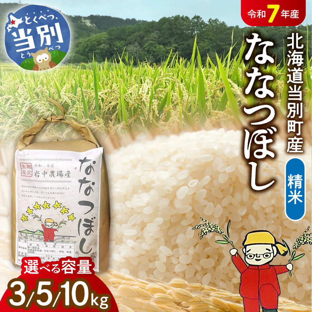 【ふるさと納税】【令和7年産】精米ななつぼし3kg 5kg 10kg お米 米 白米 精米 備蓄米 北海道産 当別町産 定番 産地直送 ふっくら ご飯 こめ 農家直送選べる 単身 一人暮らし お手軽 ビオトープ利用型 自然四季農場