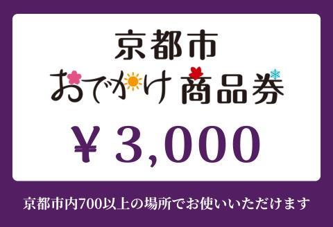 【ANAの旅先納税】京都市おでかけ商品券 3,000円分