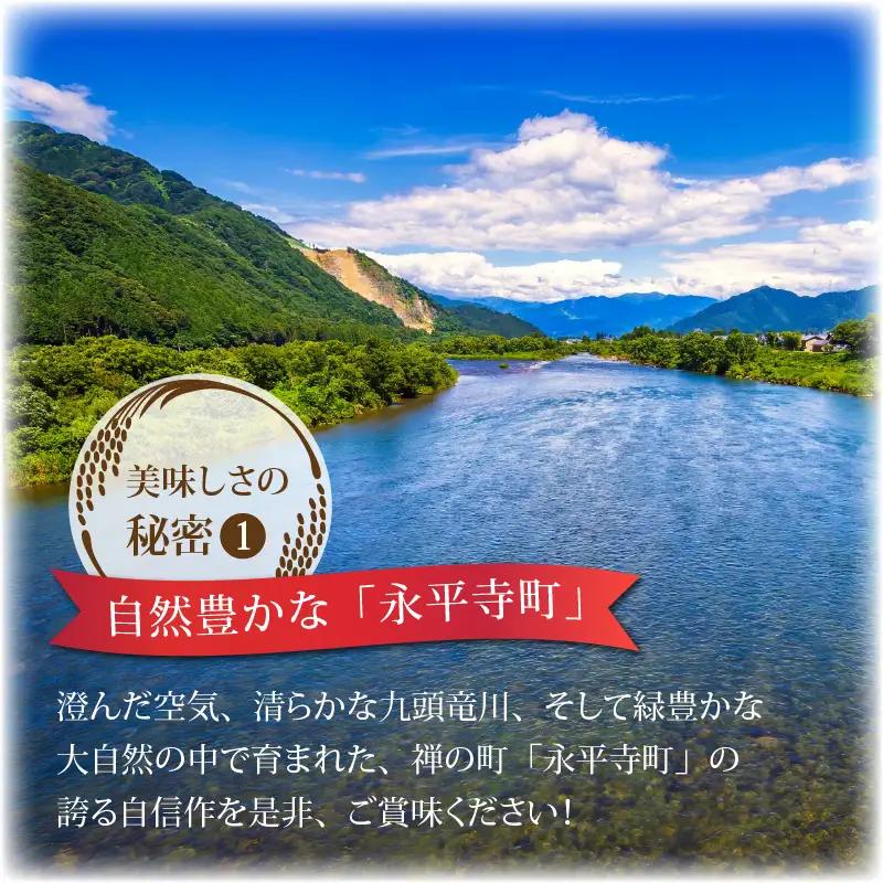 令和8年度産 コシヒカリ 10kg 玄米 特別栽培米 コシヒカリ